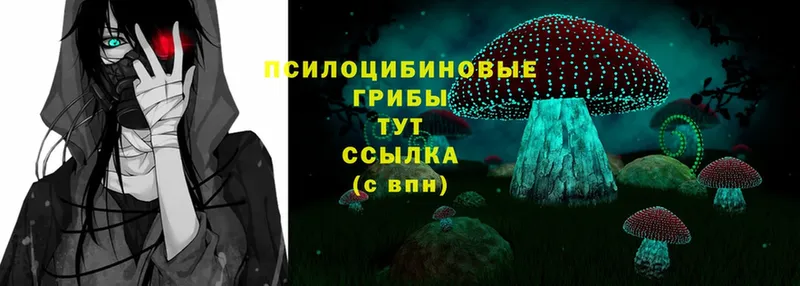 купить закладку  kraken вход  Псилоцибиновые грибы Psilocybe  Касимов 